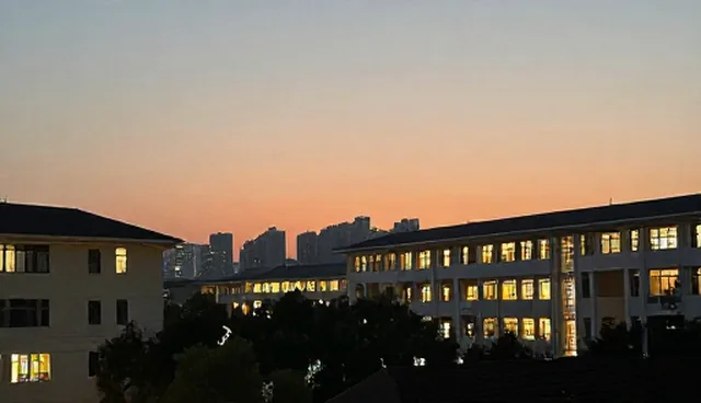 技术培训体系的适用条件与选择依据